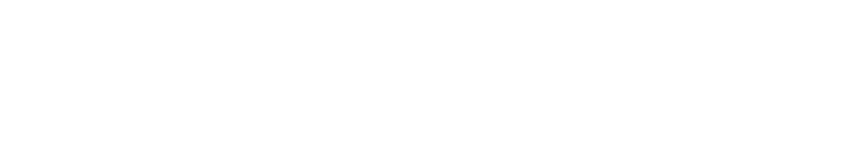 DelfinOne